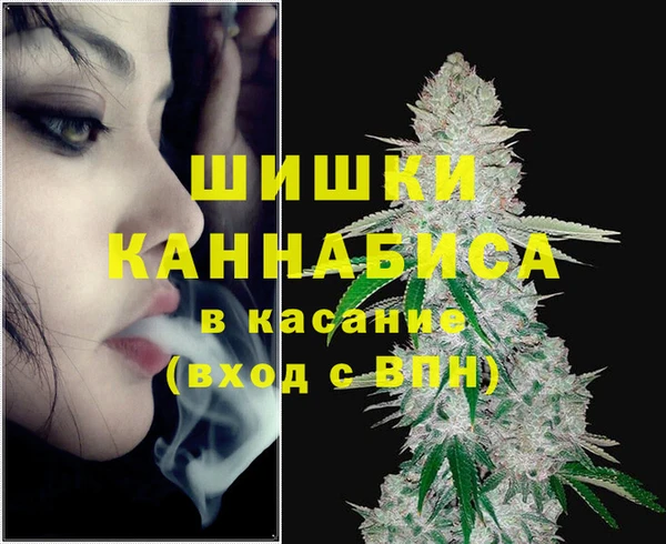 эйфоретик Аркадак