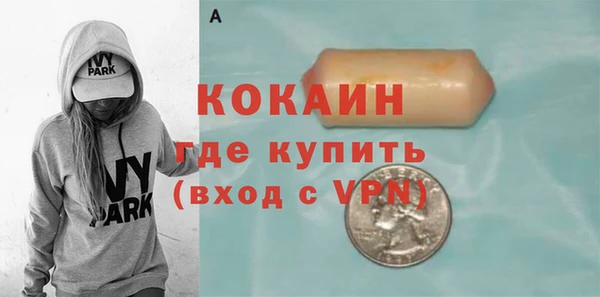 прущая мука Арсеньев