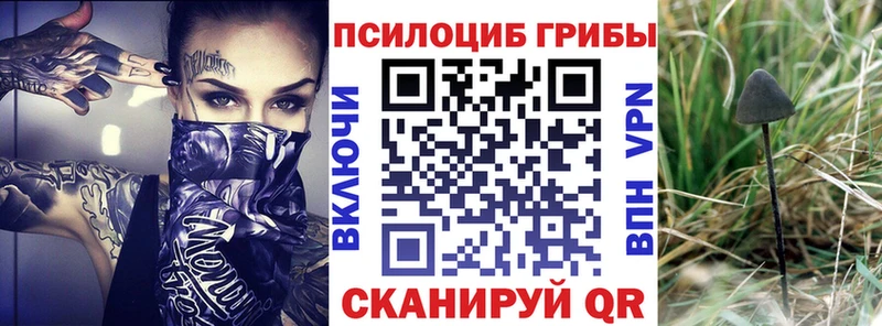 Галлюциногенные грибы Cubensis  Мантурово 